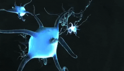 Neurotransmitter blue and black GIF