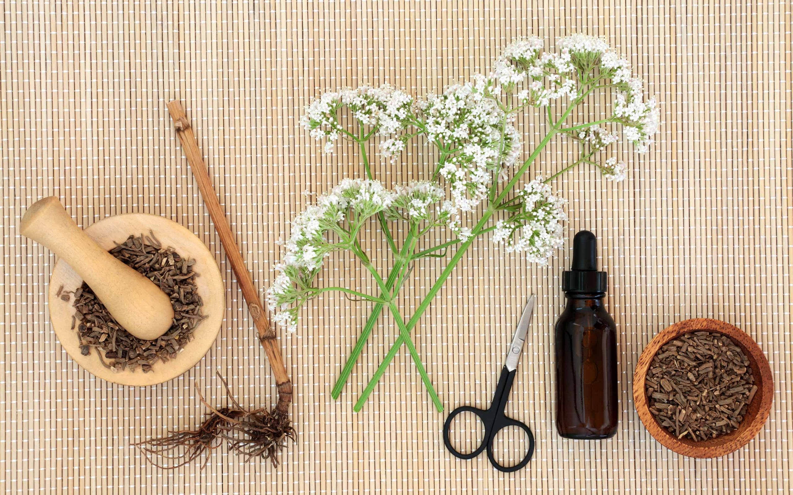 Different ways to ingest Valerian Root