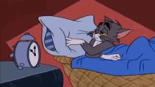 Tom cat sleeping in bed GIF