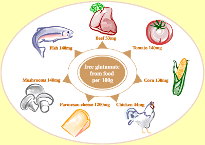 Foods that have Glutamic Acid Content