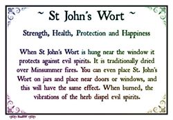 St John's Wort magical powers and properties