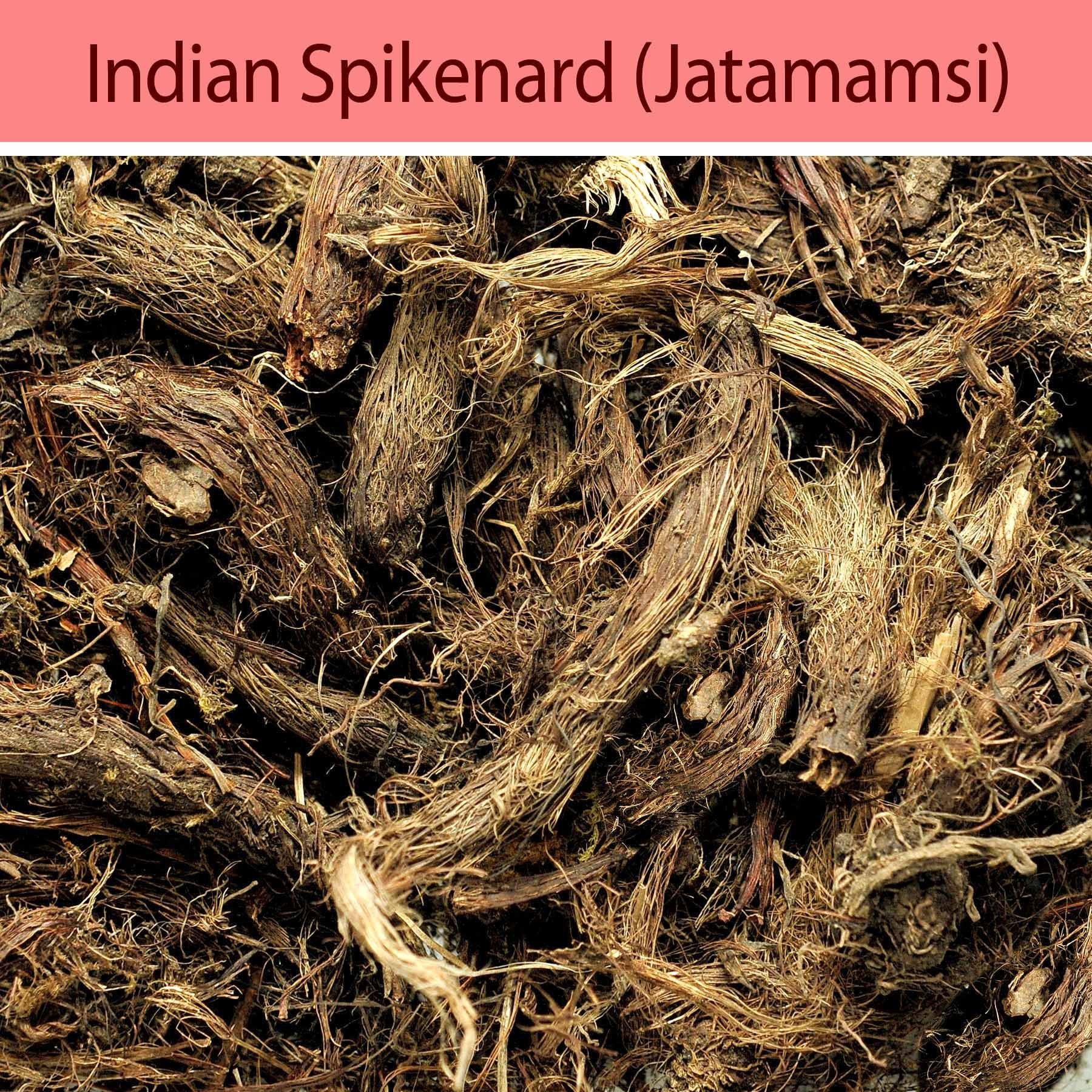 Indian Spikenard rhizome the root of the plant