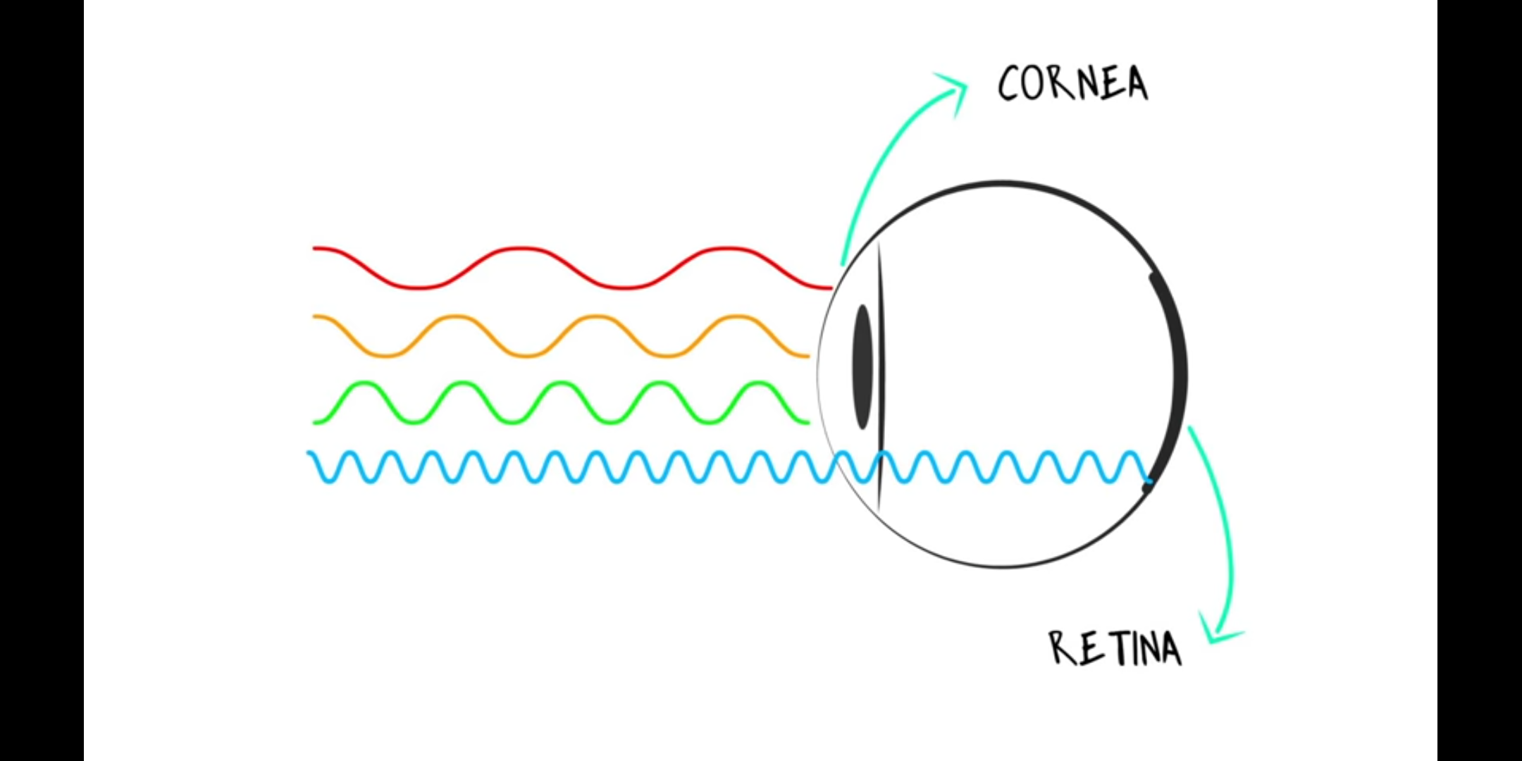 How blue light functions—a diagram