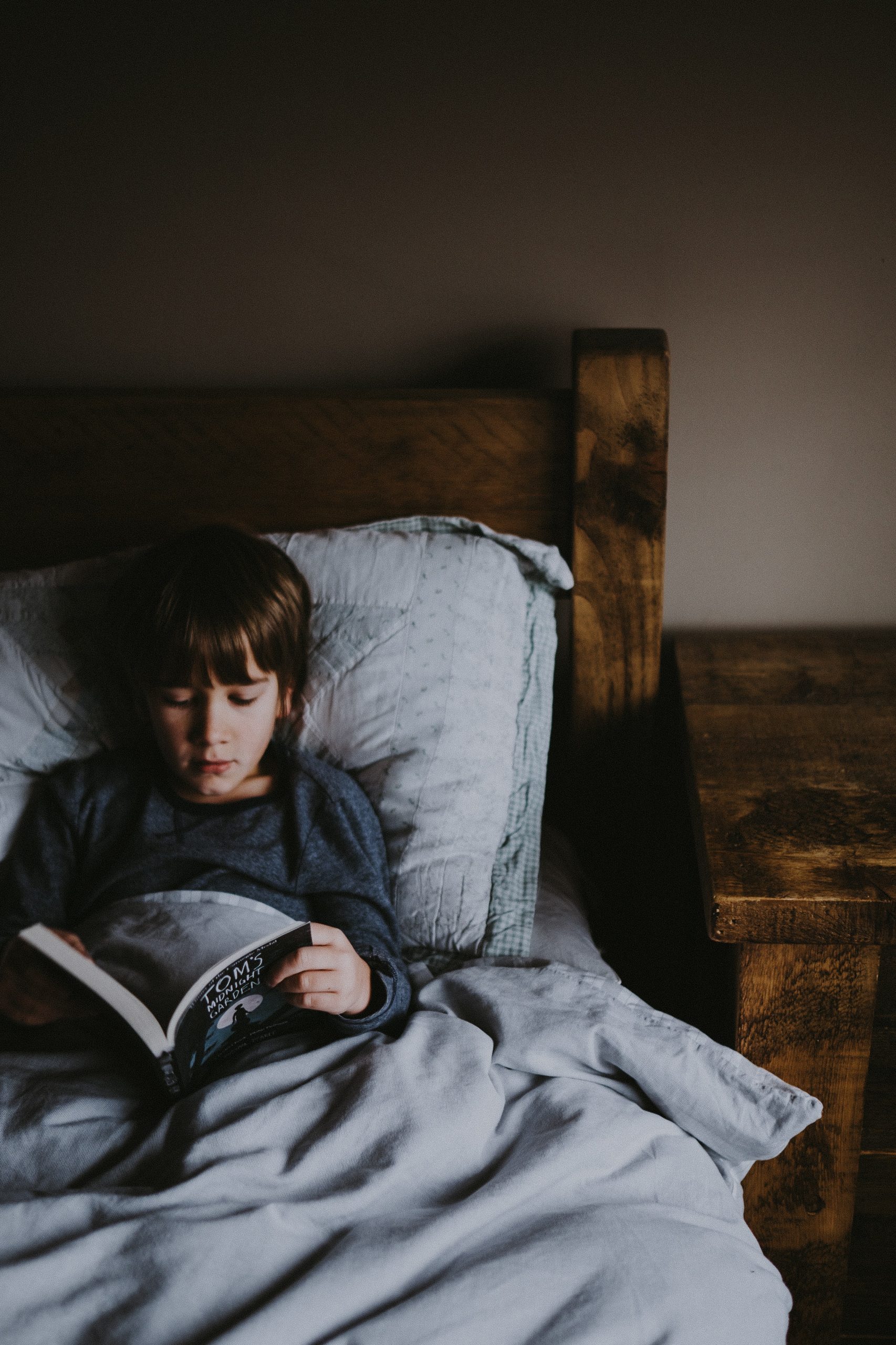 Small boy reading in bed 