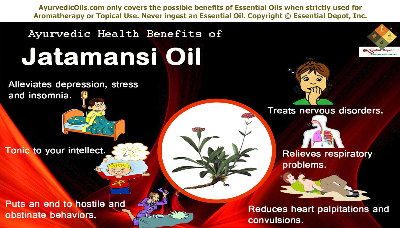 Jatamansi benefits and uses infographic