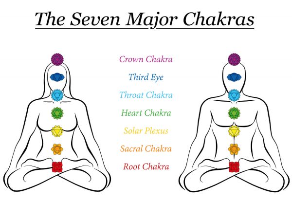 The seven major chakras in color on a human male and female body 