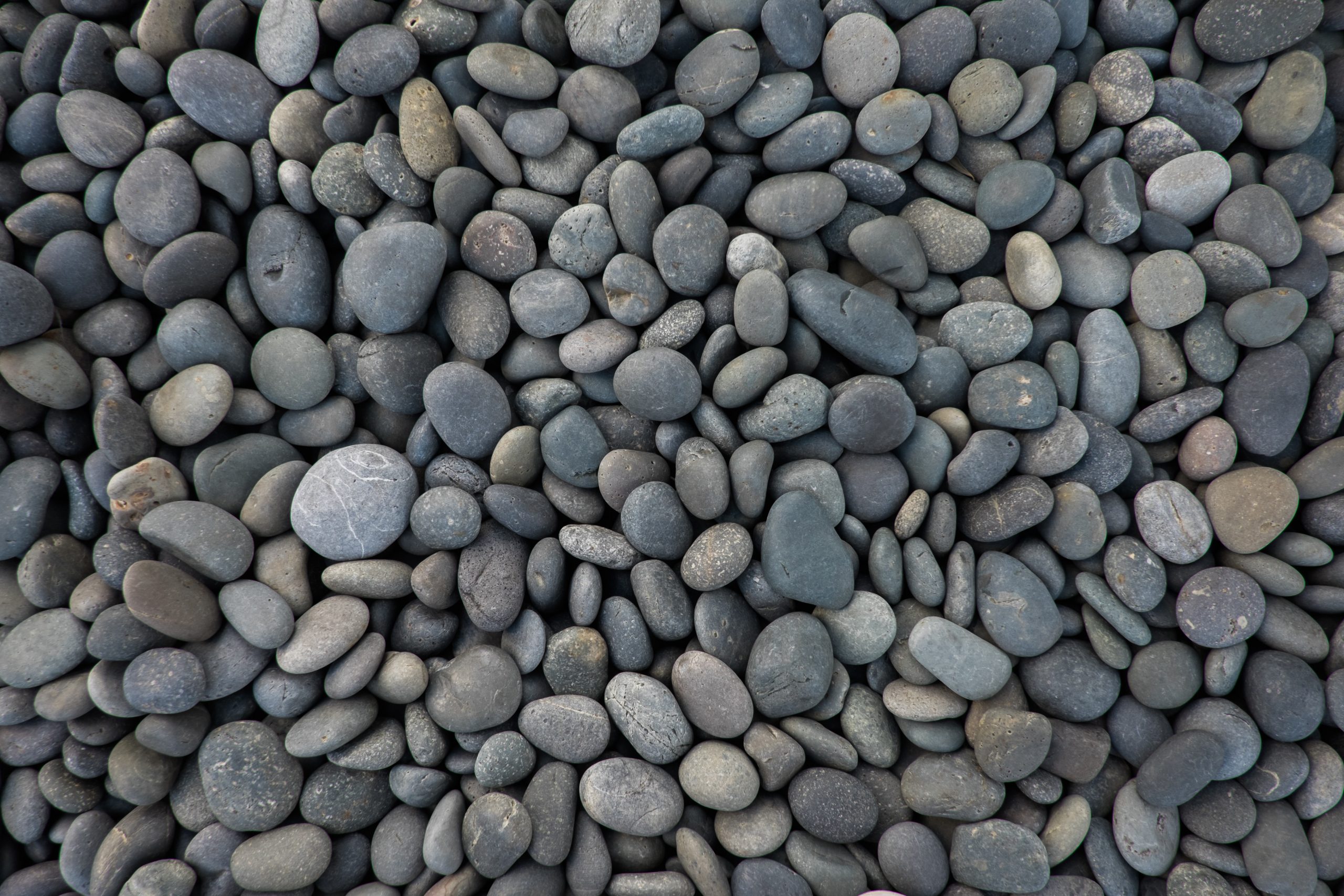 Smooth grey pebbles covering the ground 