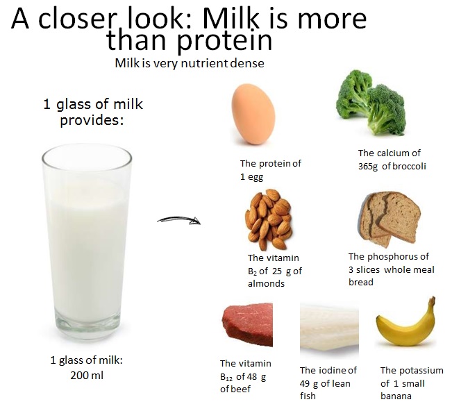 Milk nutrients diagram